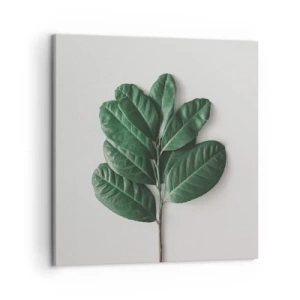 Tablou pe pânză - Desenul naturii însăși - 50x50 cm