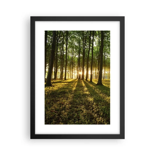 Poster în ramă neagră - Fotografia tuturor primăverilor - 30x40 cm