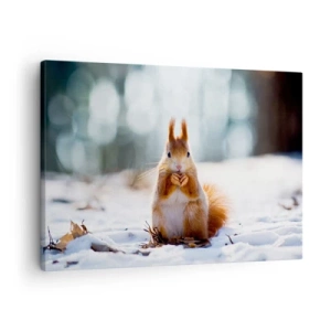 Tablou pe pânză Canvas - O veveriță într-un peisaj de iarnă - 70x50cm - Și la ce te uiți? - Decorațiune modernă pentru perete pentru living și dormitor ARTTOR