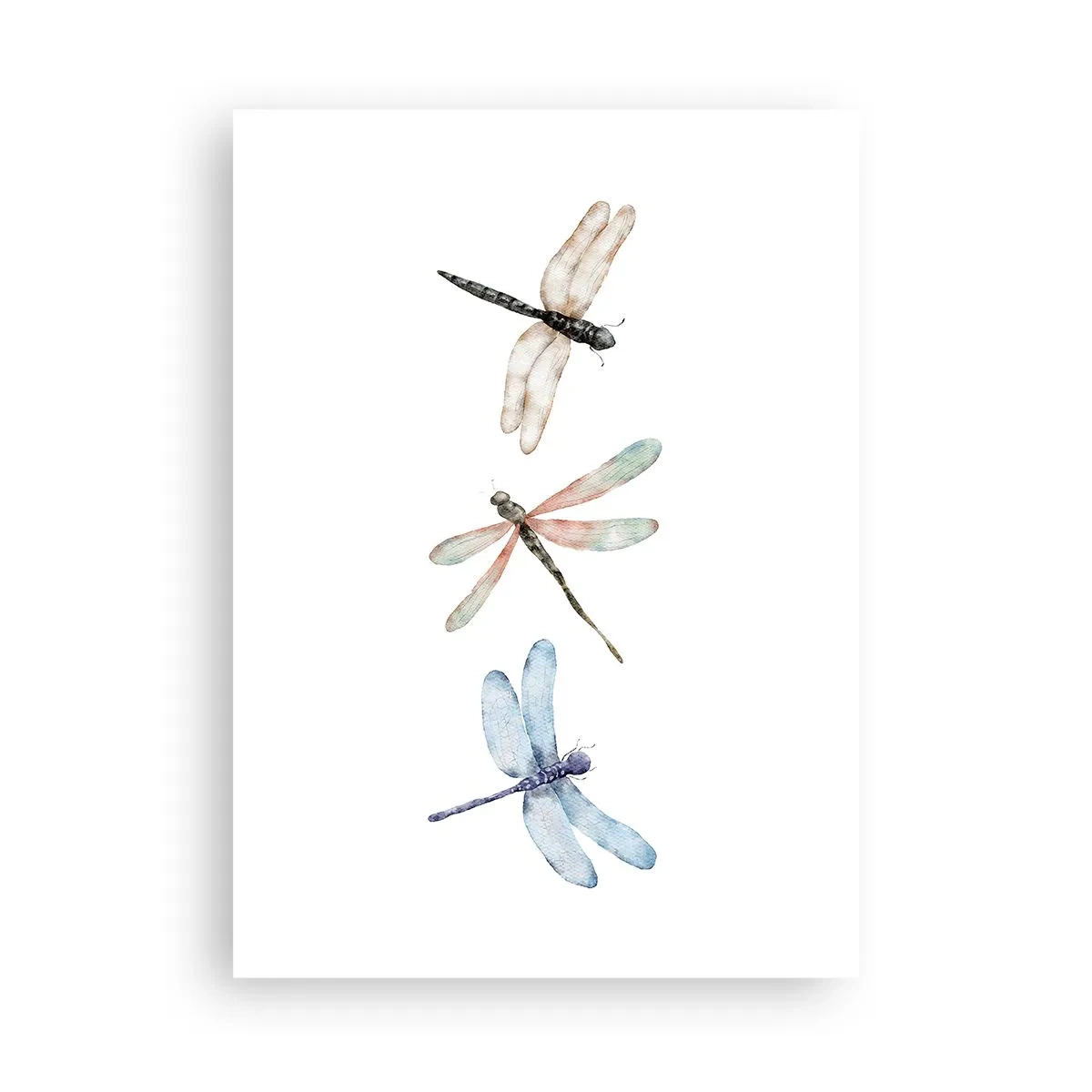 Poster - Libelule imponderabile - 50x70 cm