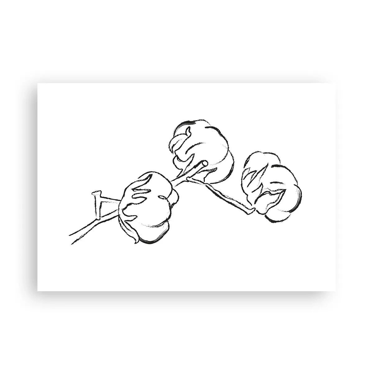 Poster - Pufuri de bumbac - 100x70 cm