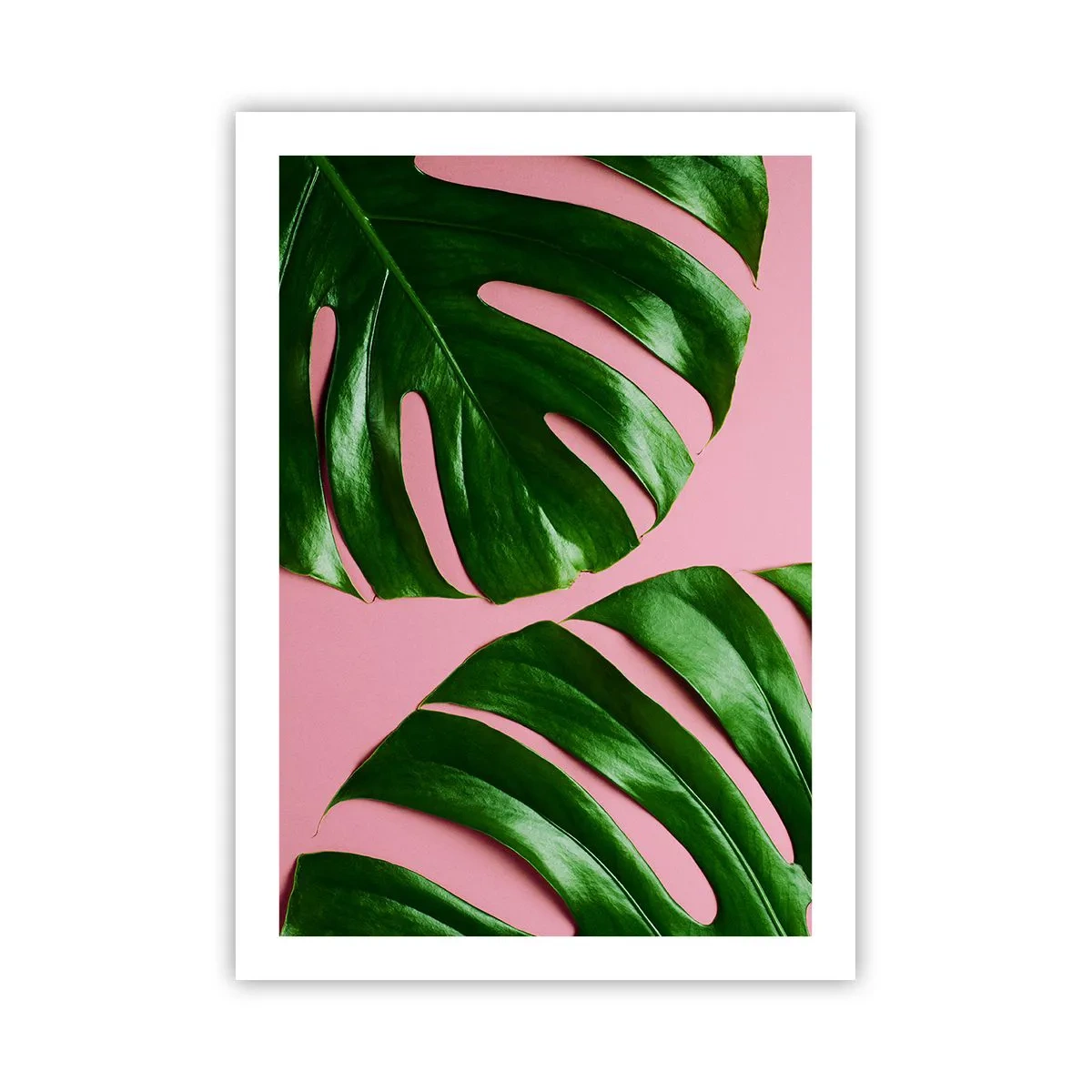 Poster - Întâlnire verde - 50x70 cm