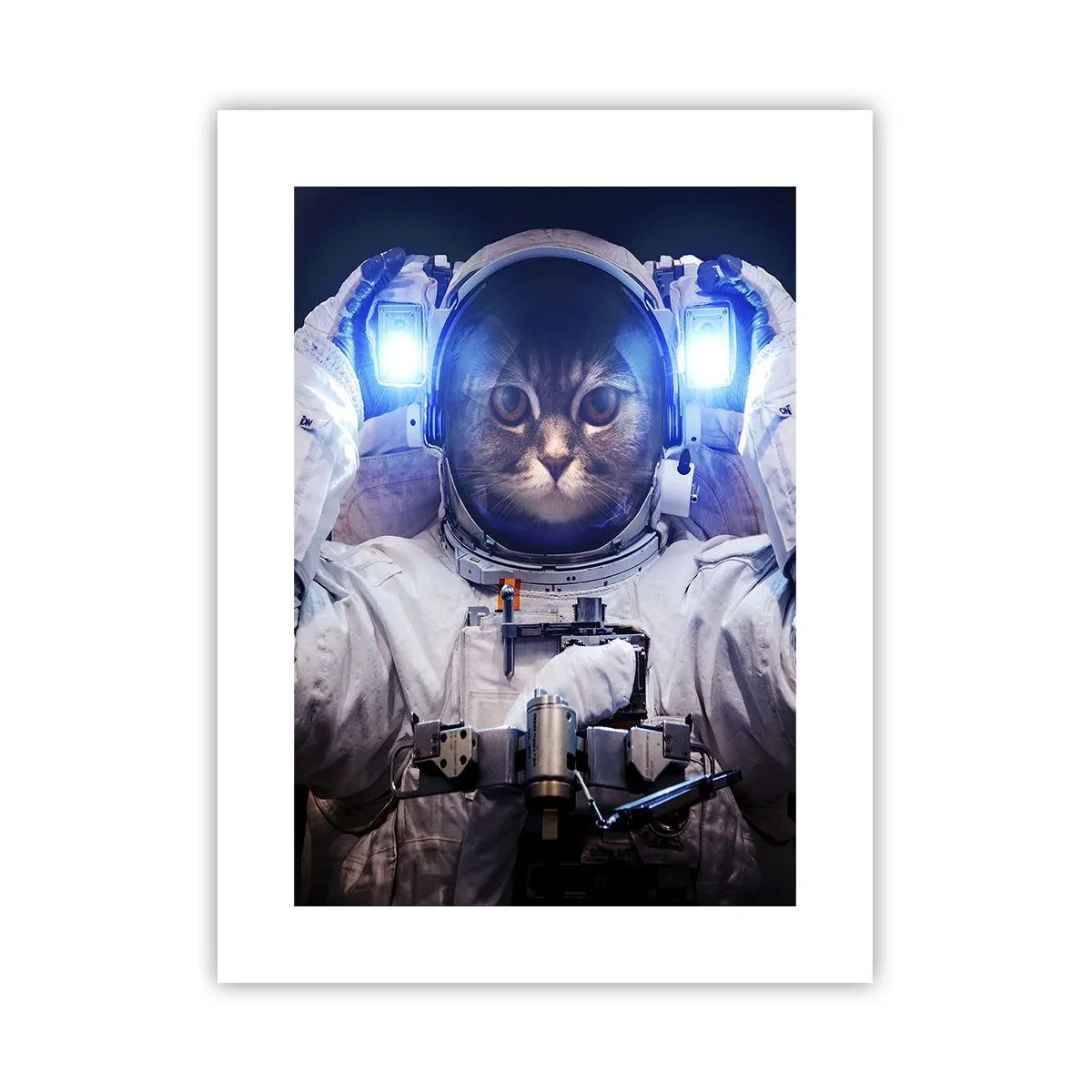 Poster - Houston, aveți o problemă - 30x40 cm