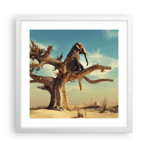 Poster în ramă albă - Un nou punct de vedere - 40x40 cm