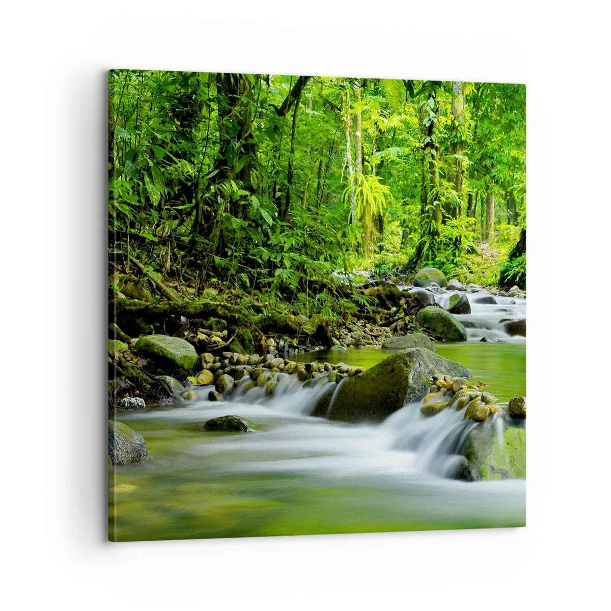 Tablou pe pânză - Să înotăm într-o mare de verde - 60x60 cm