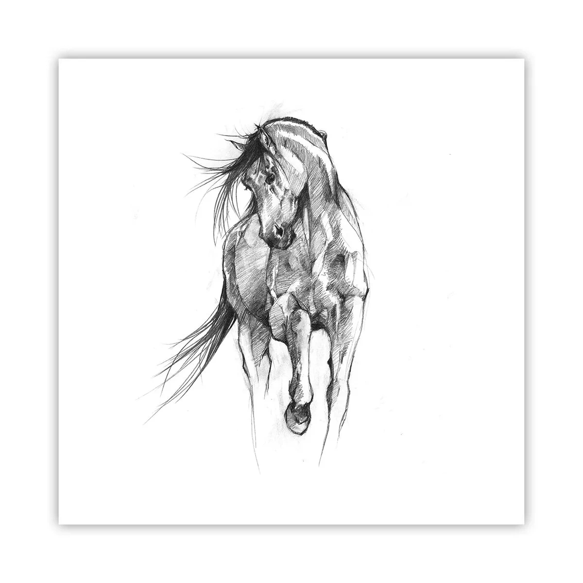 Poster - Într-un trap grațios - 60x60 cm