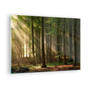 Tablou pe sticlă - Razele soarelui strălucesc printre copacii din pădure - 70x50cm - Strălucitoare într-o dimineață de primăvară - Decorațiune modernă pentru perete pentru living și dormitor ARTTOR