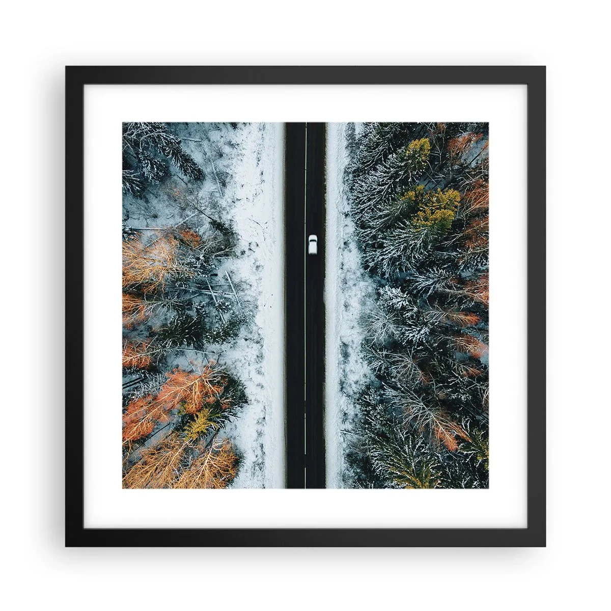 Poster în ramă neagră - Prin pădurea de iarnă - 40x40 cm