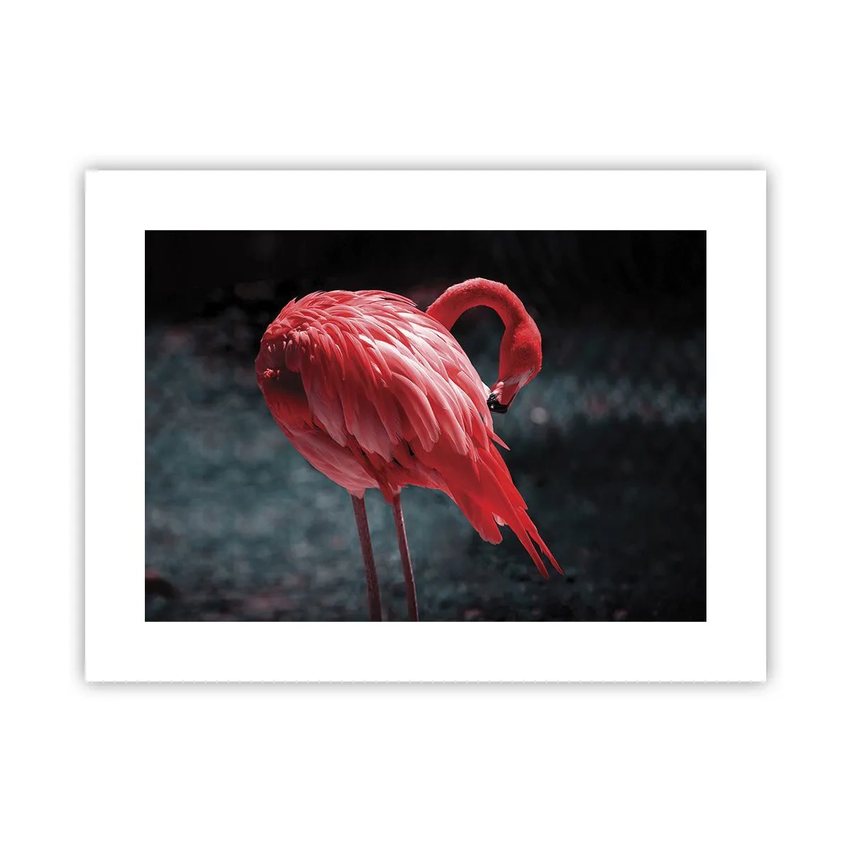 Poster - Poemul purpuriu al naturii - 40x30 cm