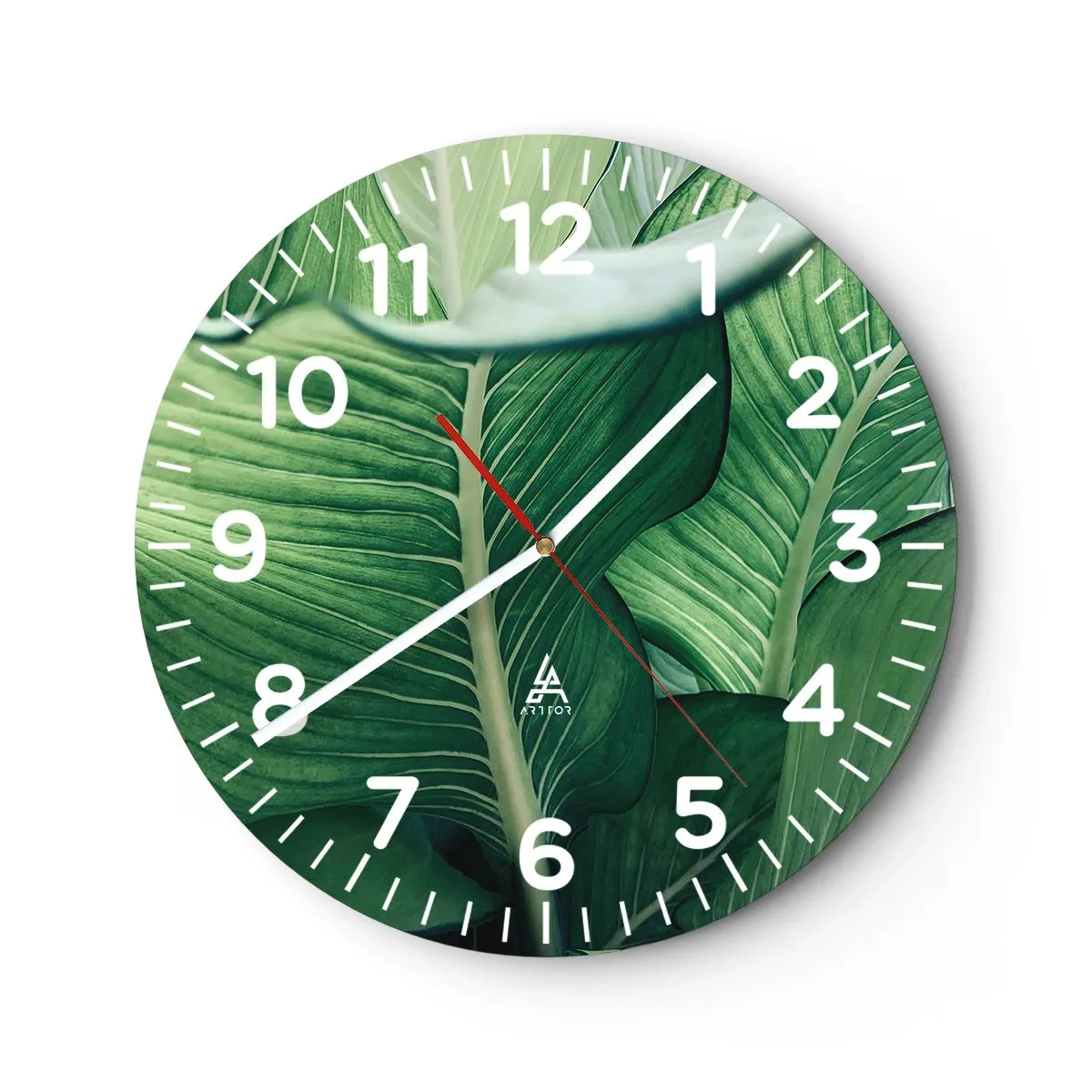 Ceas de perete - Ceas pe sticlă - Viață intensă în verde - 40x40 cm