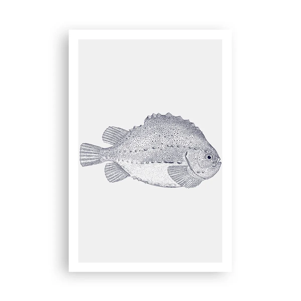 Poster - Pentru albumul naturalistului - 61x91 cm