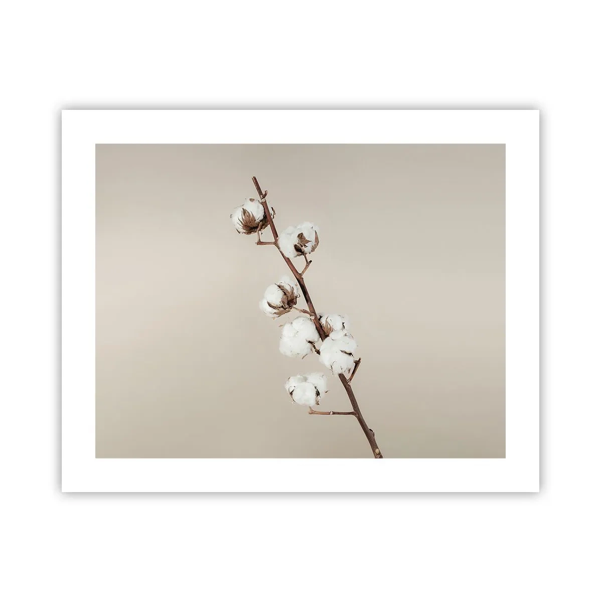 Poster - La sursa moliciunii - 50x40 cm