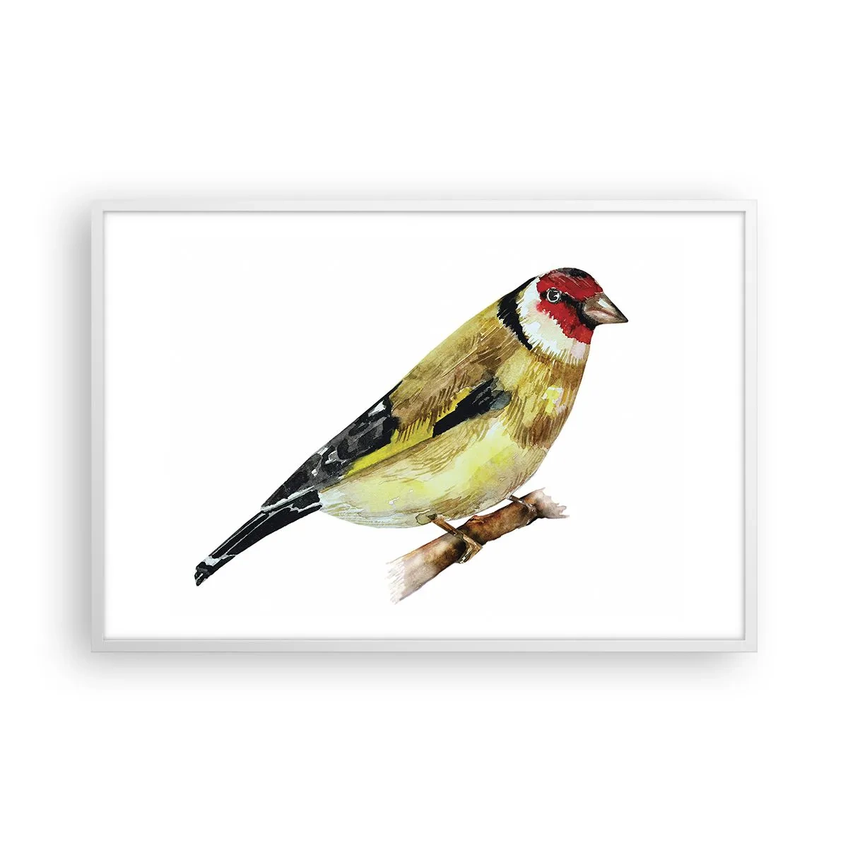 Poster în ramă albă - Portret de pasăre - 91x61 cm