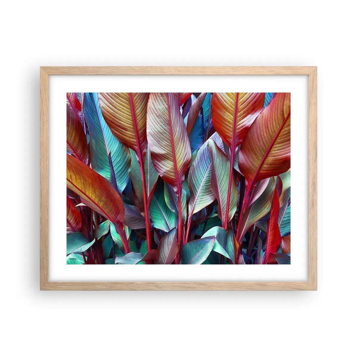 Poster în ramă de stejar deschis - Tufiș colorat - 50x40 cm