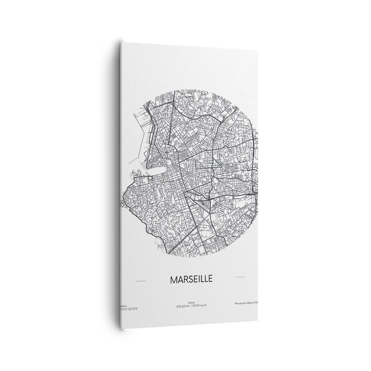 Tablou pe pânză - Anatomia Marsiliei - 65x120 cm