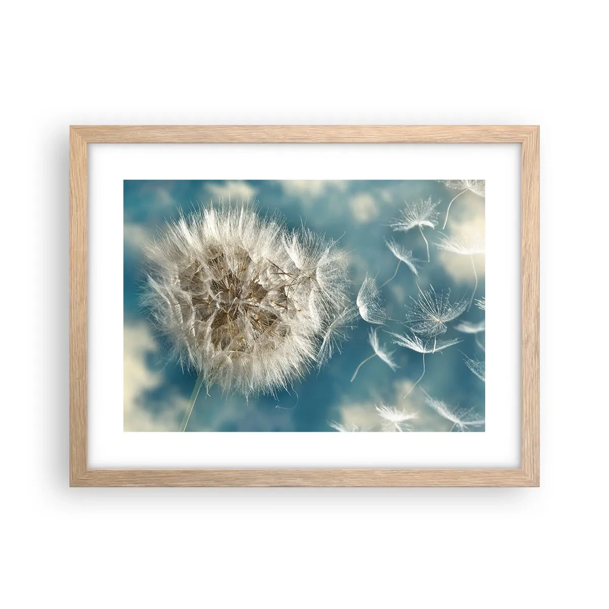 Poster în ramă de stejar deschis - Respirația unui înger - 40x30 cm