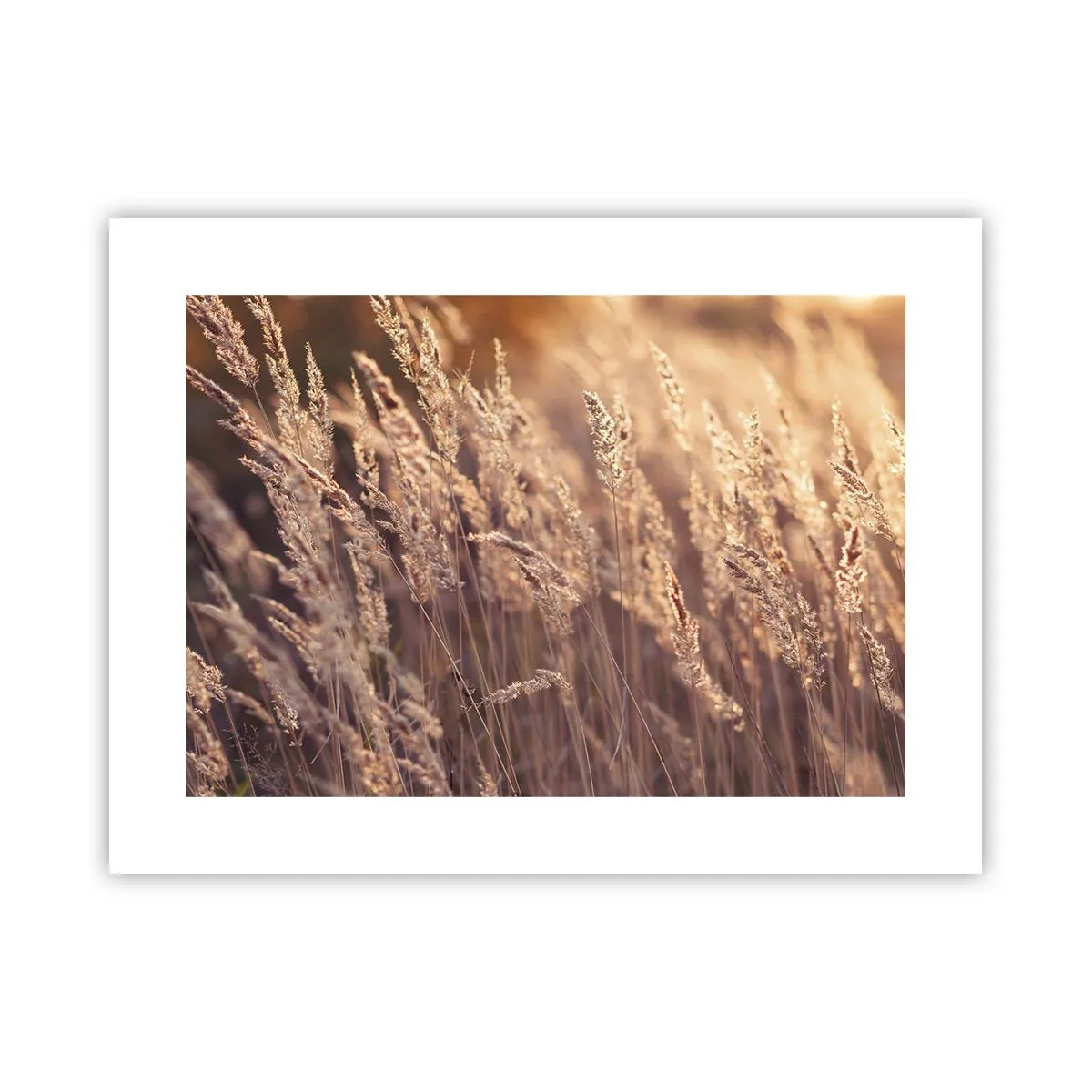 Poster - Gata să întâmpine toamna - 40x30 cm