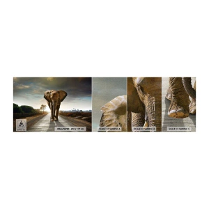 Mostră tapet Premium Canvas - Și-a pierdut cipicii... - Elefant, Peisaj, Natură - 100x30 cm