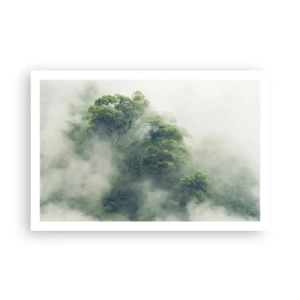 Poster - Înfășurate în ceață - 91x61 cm