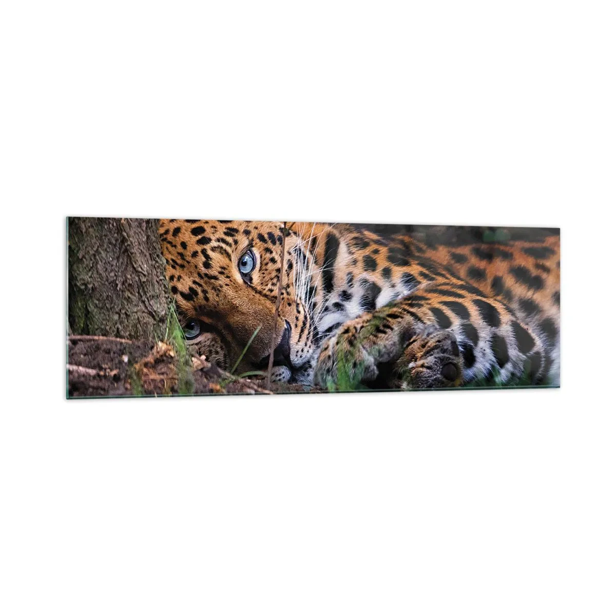 Tablou pe sticlă - Să ai încredere în mine - 160x50 cm