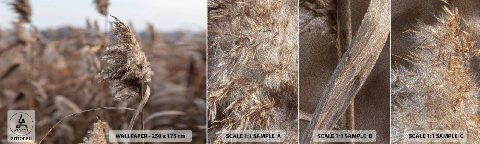 Mostră tapet Premium Sand - E timpul să zbori cu vântul - luncă, Iarbă de pampas, Natură - 100x30 cm