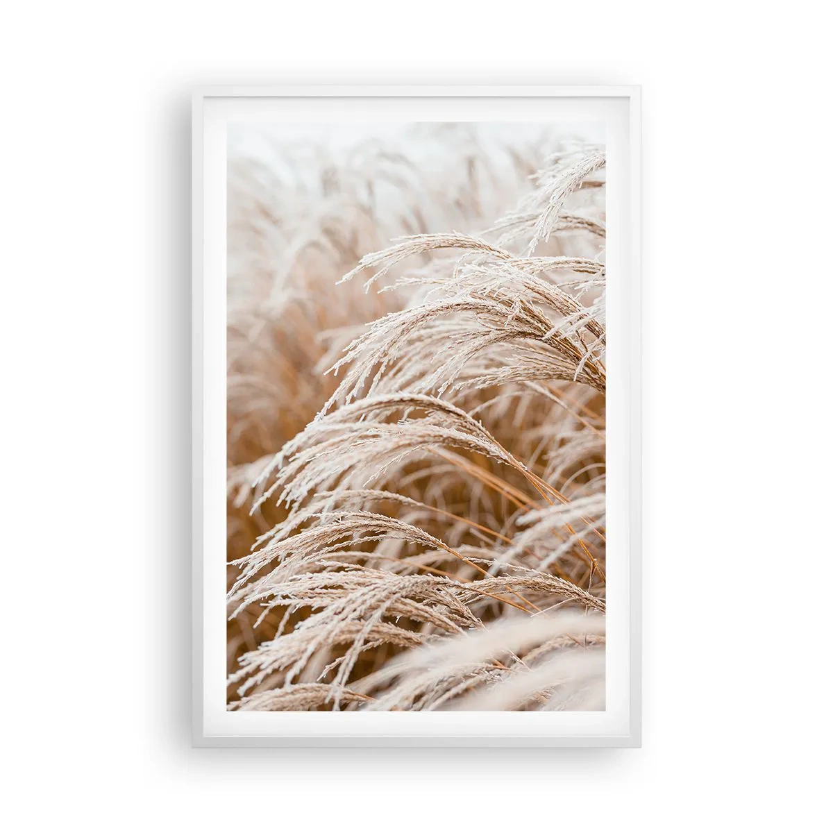 Poster în ramă albă - Închinându-se la soarele toamnei - 61x91 cm