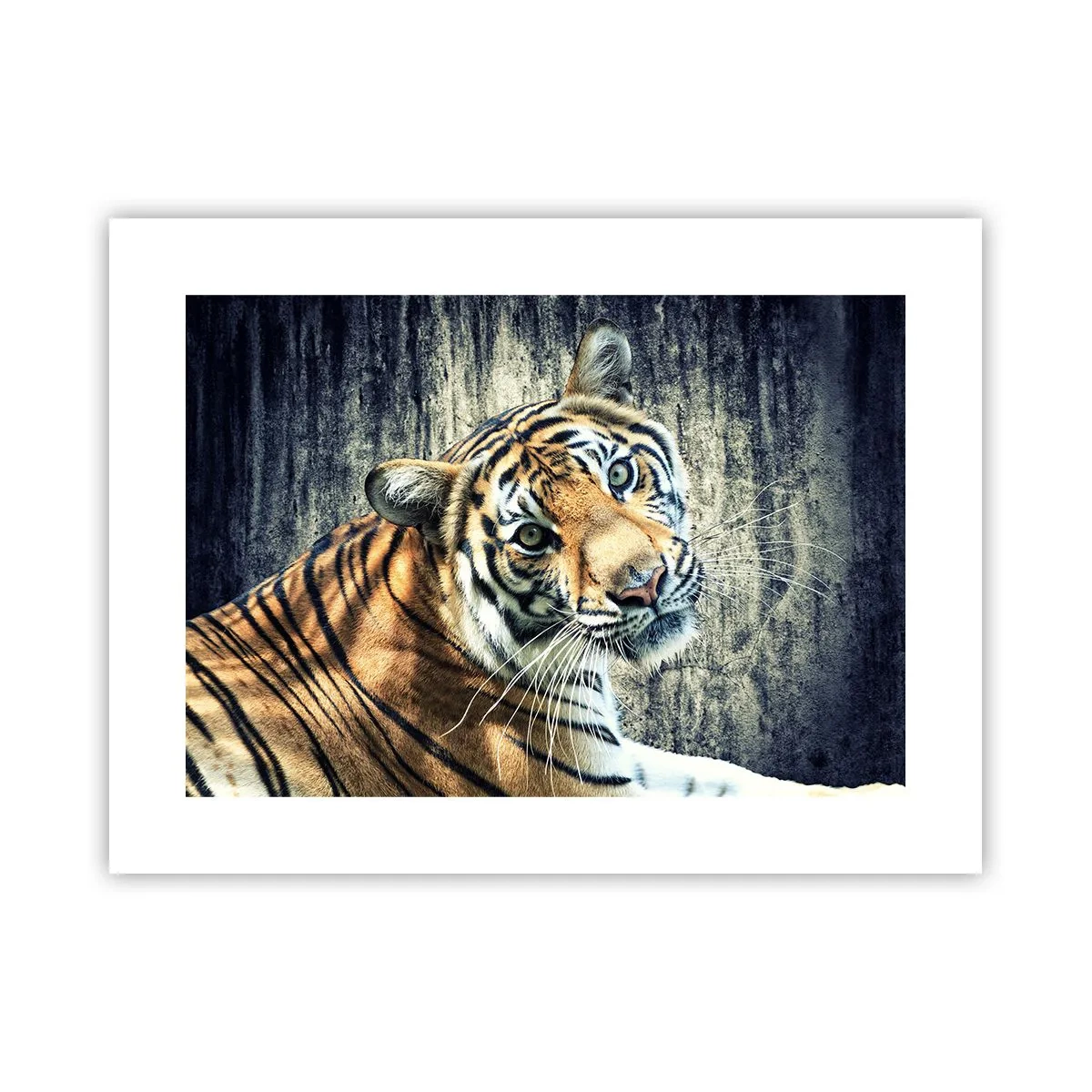 Poster - Portret în fluxuri de lumină - 40x30 cm