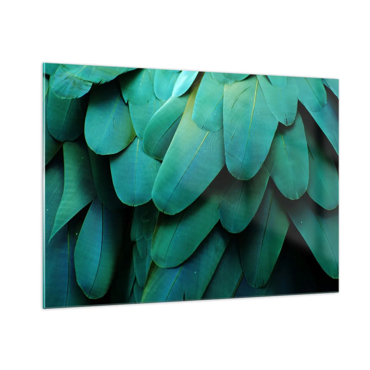 Tablou pe sticlă - Precizia naturii papagalicești - 100x70 cm