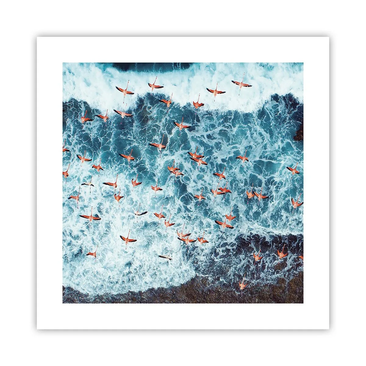 Poster - Parada de la malul mării - 40x40 cm