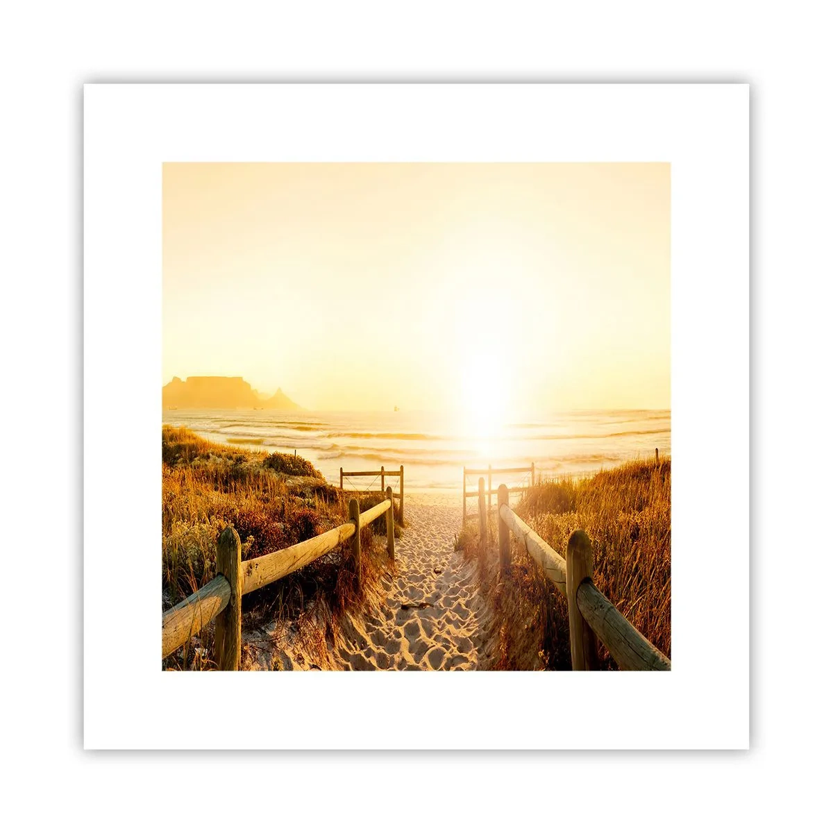Poster - Prin dune spre soare - 30x30 cm