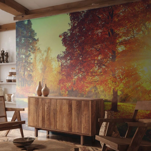 Tapet Premium Sand - Roșcatul este frumos - Peisaj, Parc, Natură - 300x210 cm