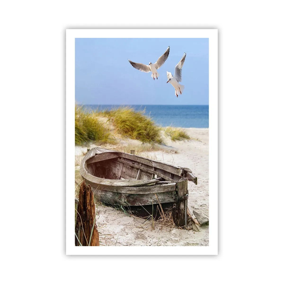 Poster - Scăldate în vânt - 61x91 cm