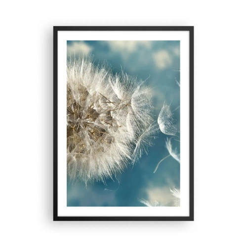Poster în ramă neagră - Semințe delicate de păpădie pe fundal albastru - 50x70cm - Respirația unui înger - Decorațiune modernă pentru perete pentru living și dormitor ARTTOR