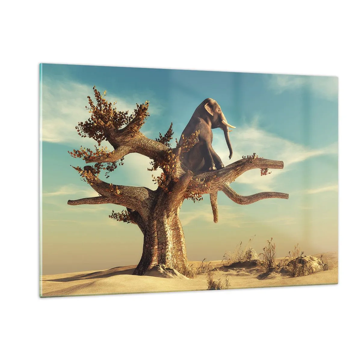 Tablou pe sticlă - Un nou punct de vedere - 120x80 cm