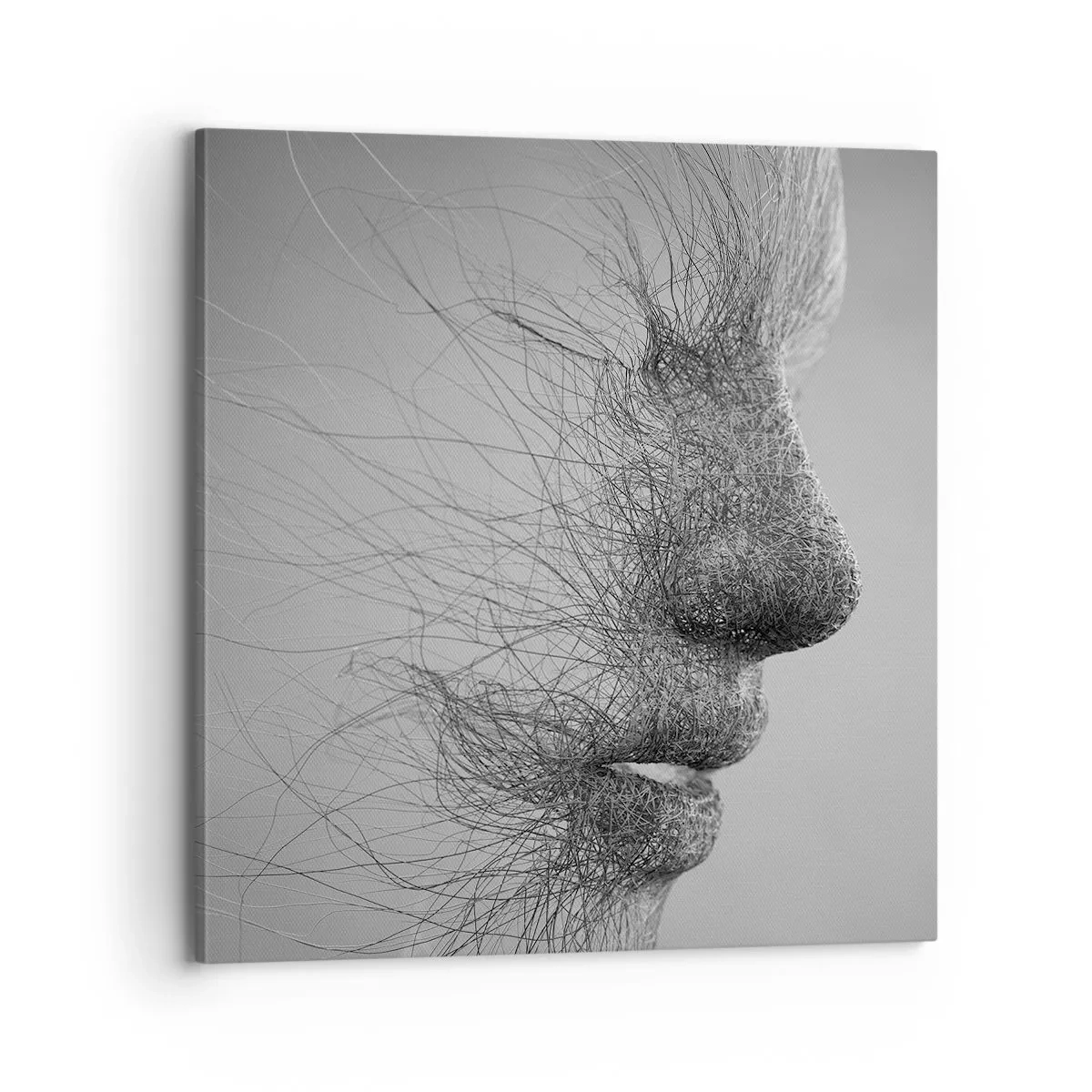 Tablou pe pânză - Spiritul vântului - 70x70 cm