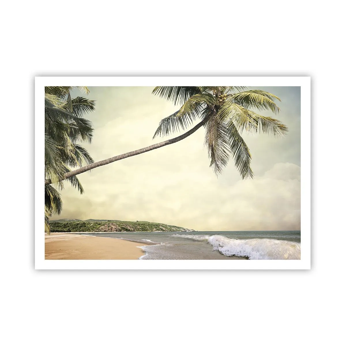 Poster - Vis tropical - 100x70 cm