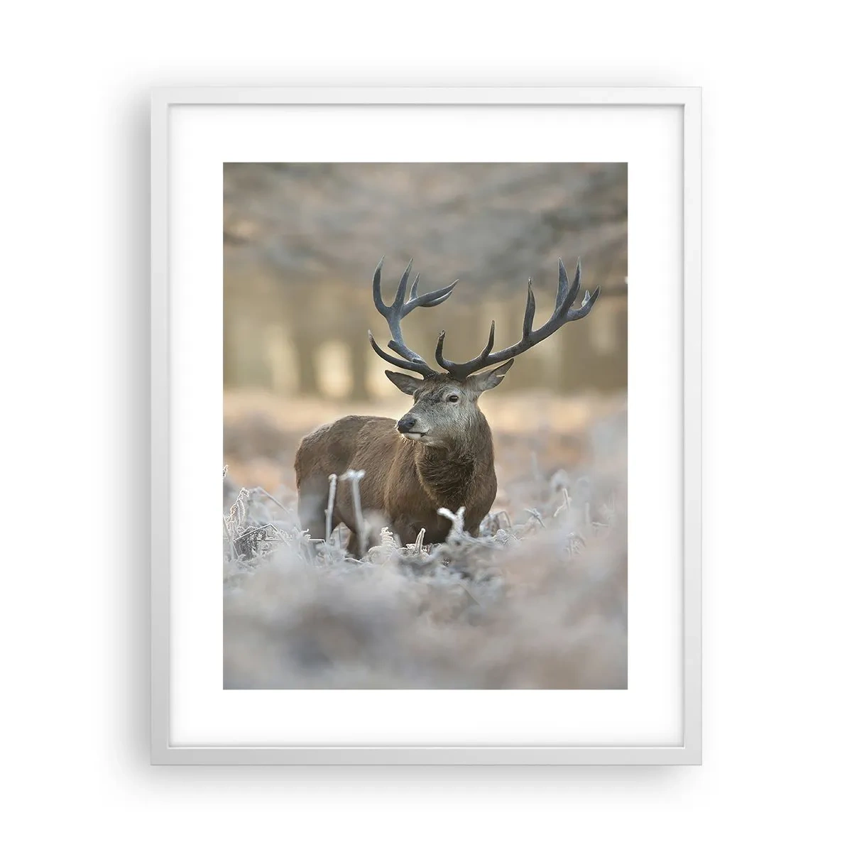 Poster în ramă albă - O dimineață răcoroasă - 40x50 cm