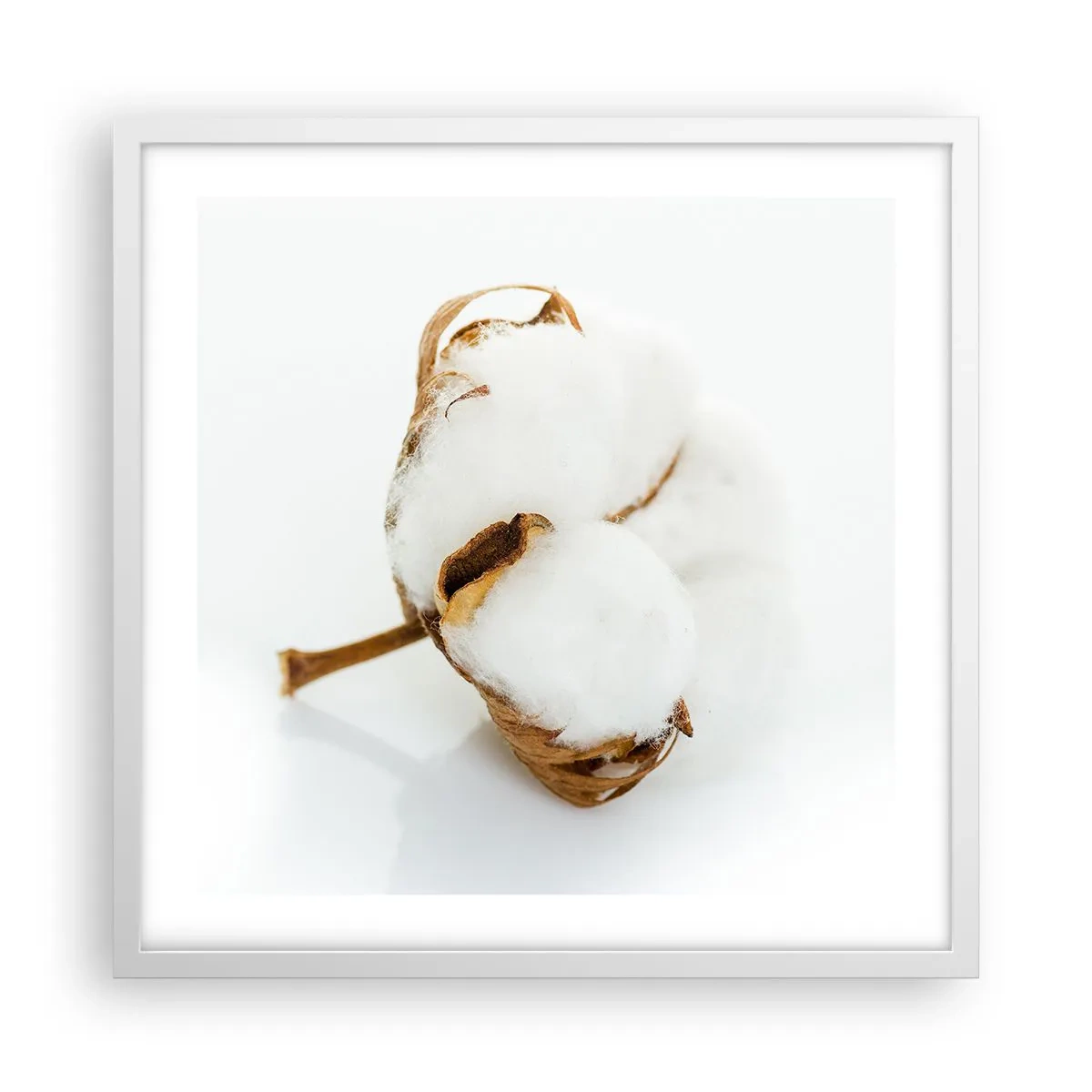 Poster în ramă albă - Moale prin natură - 50x50 cm