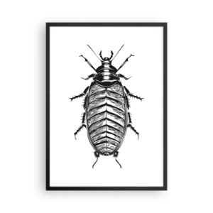 Poster în ramă neagră - Ilustrație alb-negru a unei insecte într-un stil de retail - 50x70cm - Ce specimen! - Decorațiune modernă pentru perete pentru living și dormitor ARTTOR