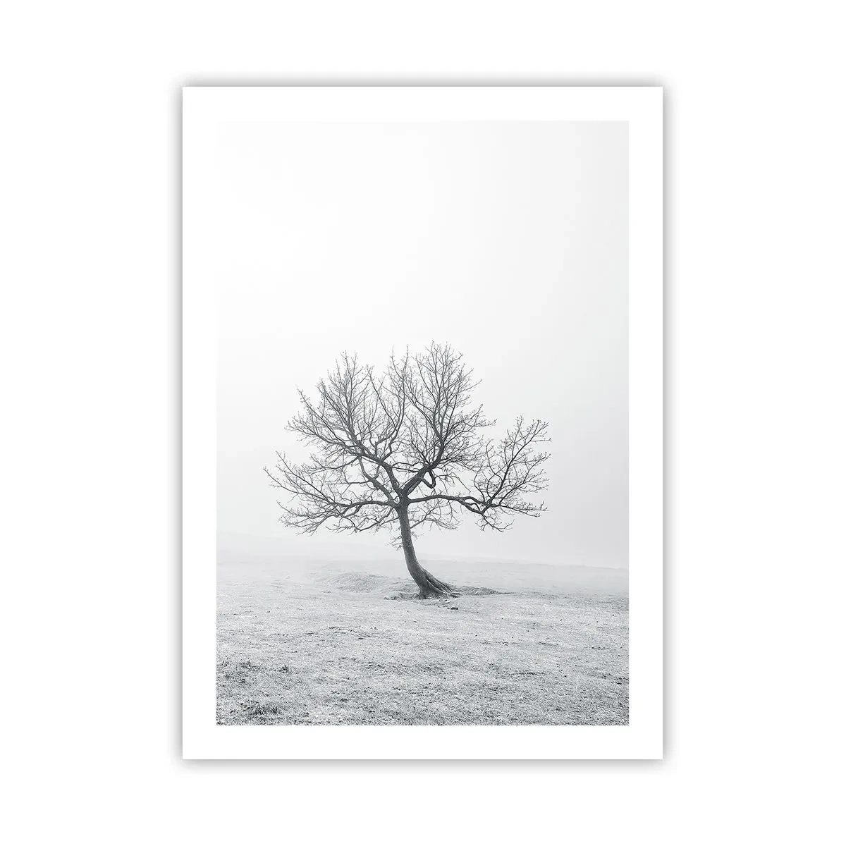 Poster - Împotriva neantului - 50x70 cm