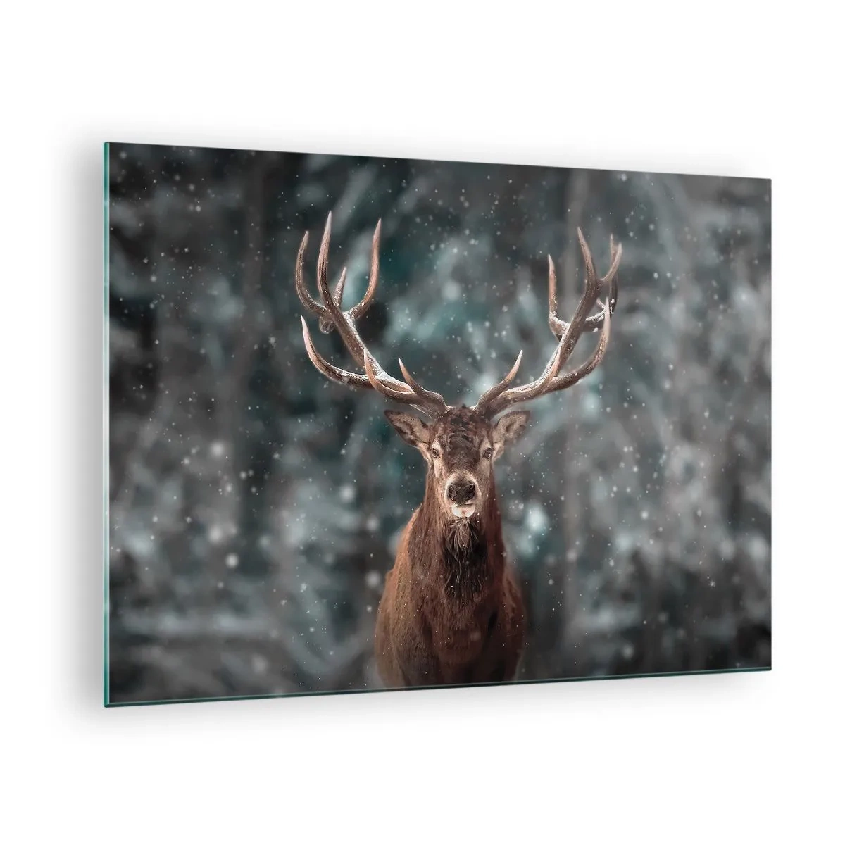 Tablou pe sticlă - O căprioară mândră într-o pădure de iarnă în mijlocul ninsorilor - 70x50cm - Regele pădurii a fost încoronat - Decorațiune modernă pentru perete pentru living și dormitor ARTTOR
