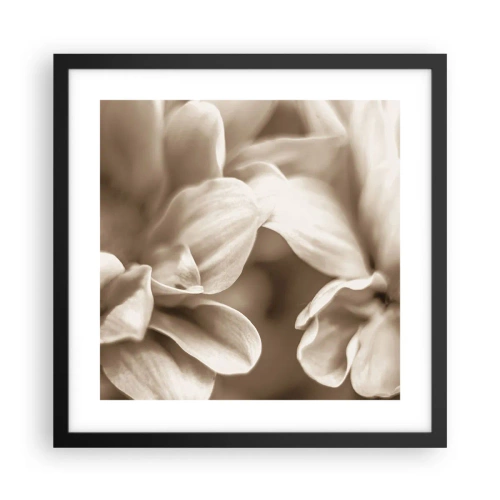 Poster în ramă neagră - Blânde ca un zâmbet - 40x40 cm