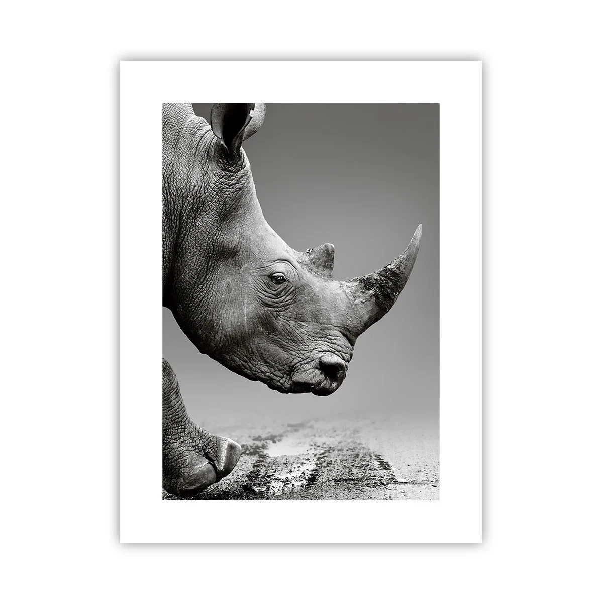 Poster - O forță de neoprit - 30x40 cm