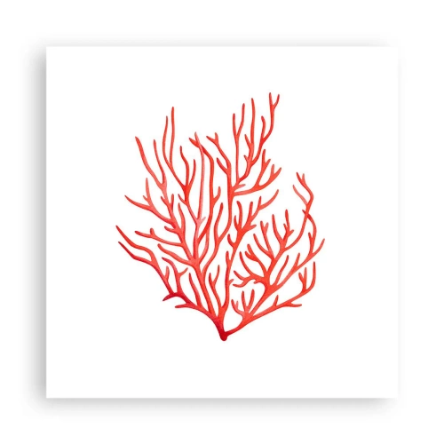 Poster - Coral filigranat - 40x40 cm