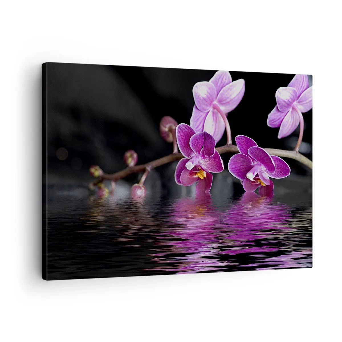 Tablou pe pânză Canvas - Orhidee violete peste apă calmă pe un fundal negru - 70x50cm - Reflecție de frumusețe în liliac - Decorațiune modernă pentru perete pentru living și dormitor ARTTOR