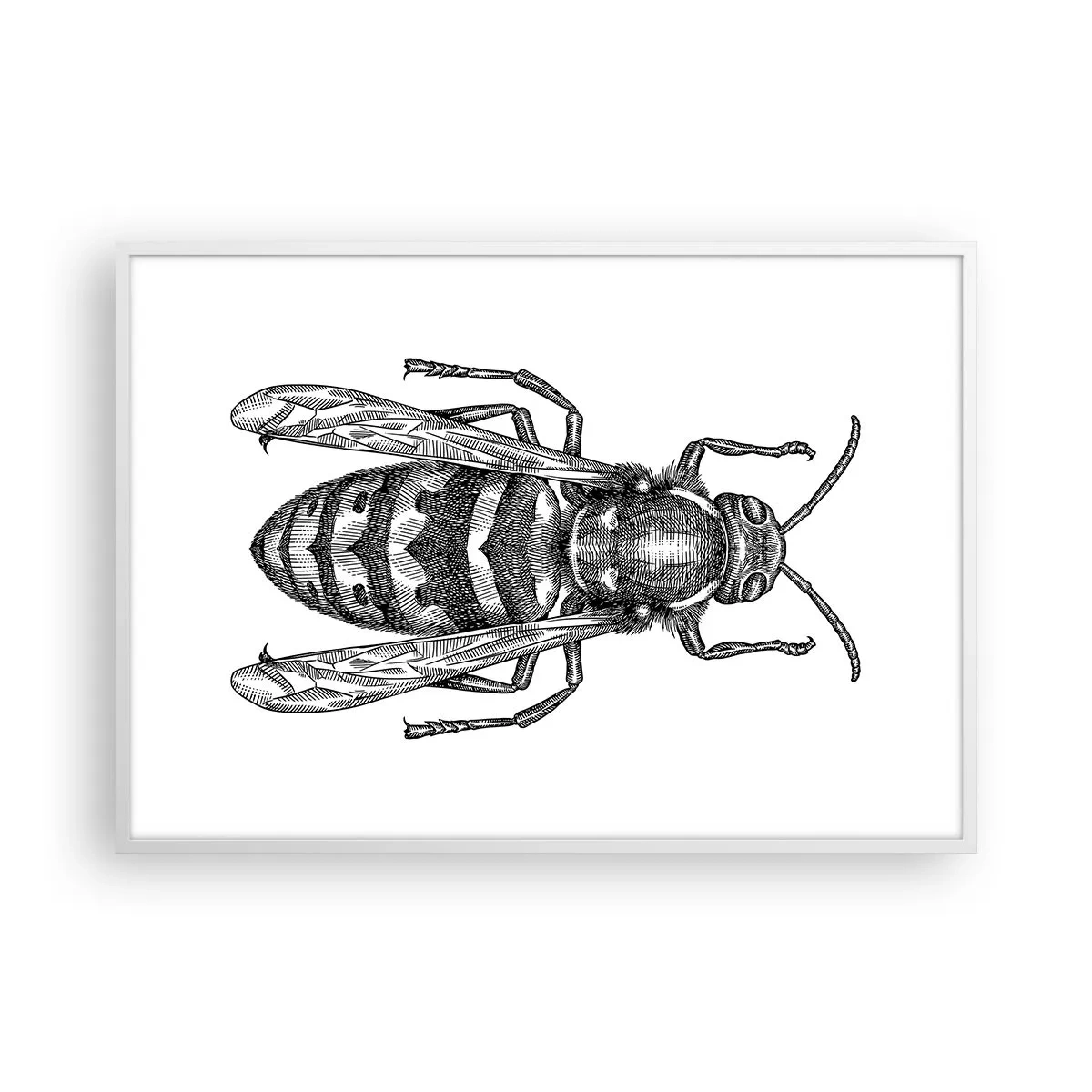Poster în ramă albă - De pe o planetă de insecte - 100x70 cm