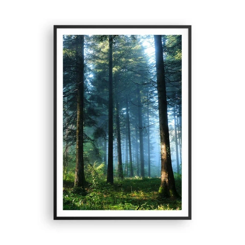 Poster în ramă neagră - Strălucirea de dimineață - 70x100 cm