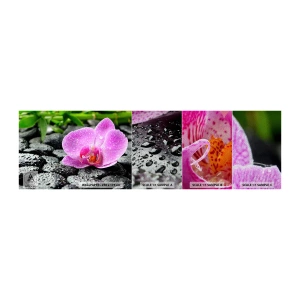 Mostră tapet Premium Sand - Ca o inimă deschisă - Flori, Orhidee, Orhidee - 100x30 cm
