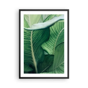 Poster în ramă neagră - Prim-plan al frunzelor verzi ale unei plante - 50x70cm - Viață intensă în verde - Decorațiune modernă pentru perete pentru living și dormitor ARTTOR