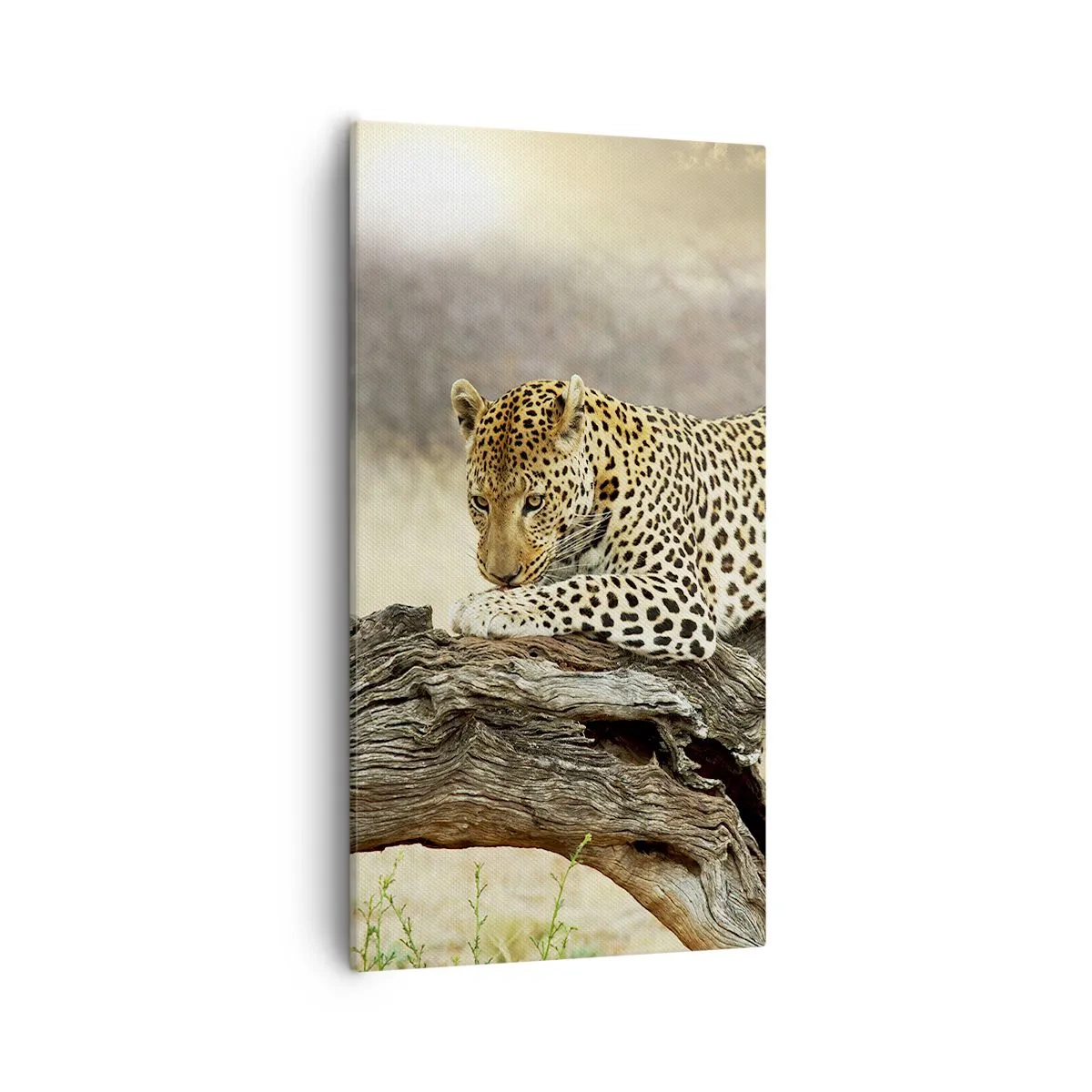 Tablou pe pânză - Mă duc pe drumul meu - 55x100 cm